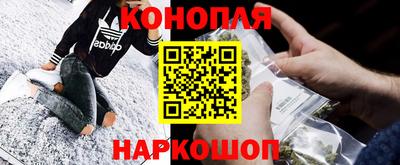 шишки Будённовск