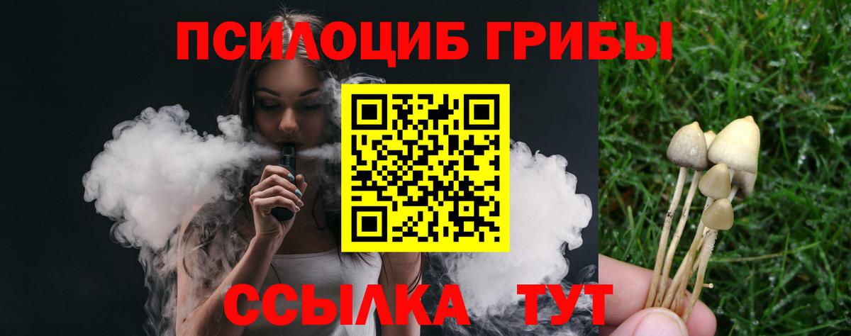 Псилоцибиновые грибы мухоморы  Вход с VPN  Сертолово  Псилоцибиновые грибы прущие грибы 